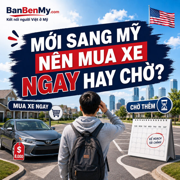 Mới sang Mỹ nên mua xe ngay hay chờ?