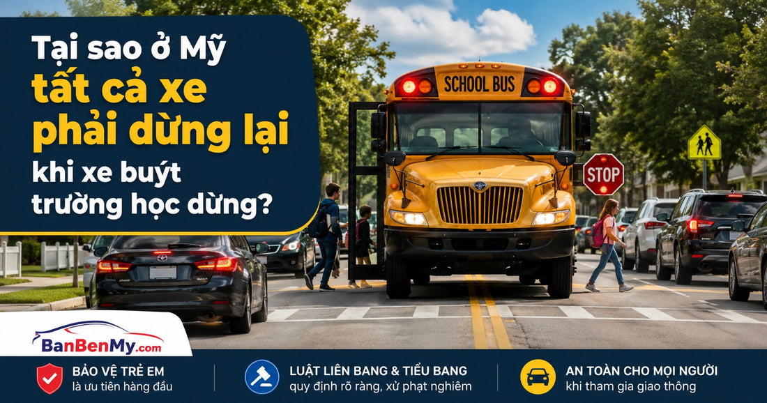 Tại sao ở Mỹ tất cả xe phải dừng lại khi xe buýt trường học dừng?