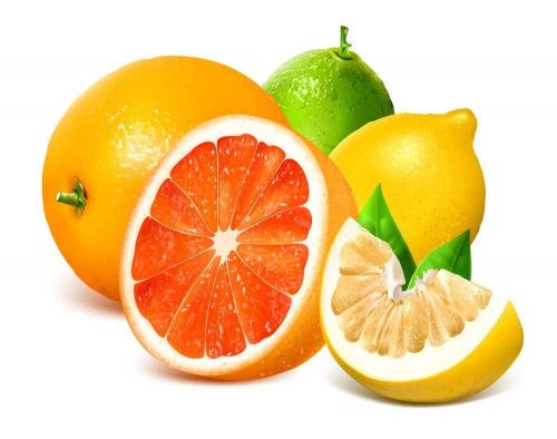 Vitamin C 1000mg puritan's pride hộp 60 viên - Vitamin C của Mỹ - hình ảnh chi tiết 4