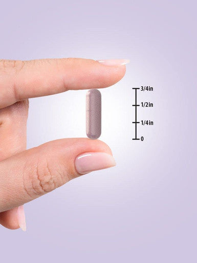 Viên Chống Oxy hóa, Tăng Cường Đề Kháng Nature's Truth Sambucus Black Elderberry 3800mg 150 Vegetarian/Vegan Capsules - hình ảnh chi tiết 3