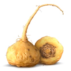 Viên uống tăng cường sức khỏe sinh lý nam nữ Trunature Peruvian Maca 750mg 180 viên - hình ảnh chi tiết 5