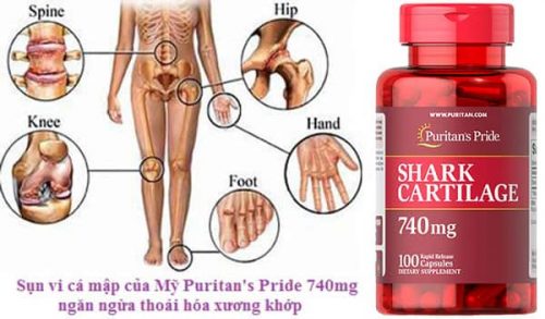 Sụn vi của Mỹ Puritan's Pride 740mg 100 viên của Mỹ - hình ảnh chi tiết 3