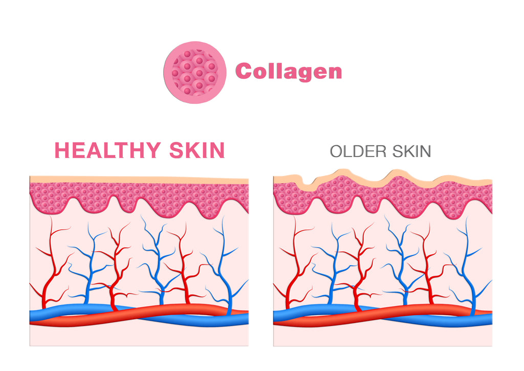 Bột Uống Bổ Sung Collagen Trunature Verisol Collagen Powder (300g) - ảnh sản phẩm 3